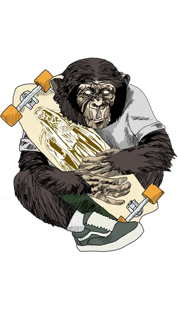 SuperApe Skateboards